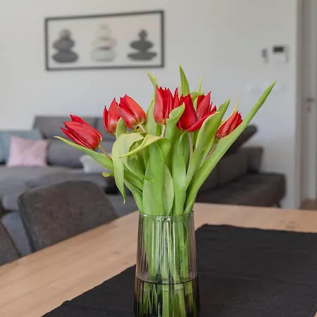 Bela Apartment